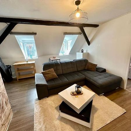 Logement Entier Au Coeur De Strasbourg Bagian luar foto