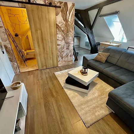 Logement Entier Au Coeur De Strasbourg Bagian luar foto