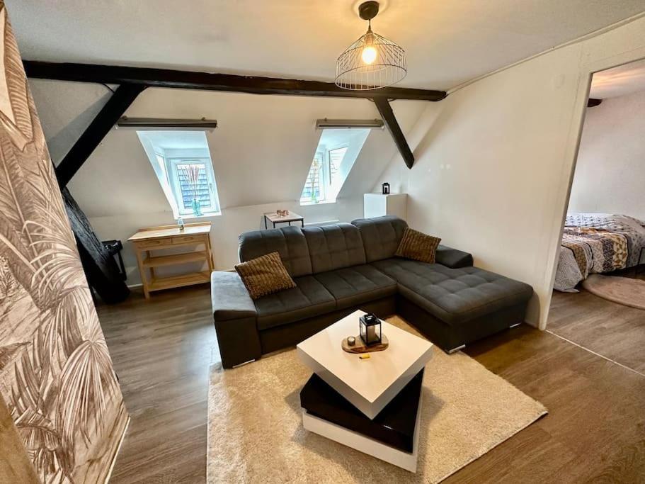 Logement Entier Au Coeur De Strasbourg Bagian luar foto