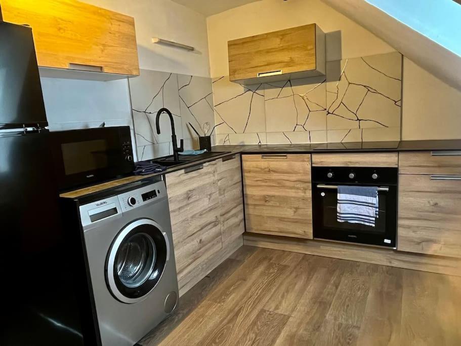 Logement Entier Au Coeur De Strasbourg Bagian luar foto