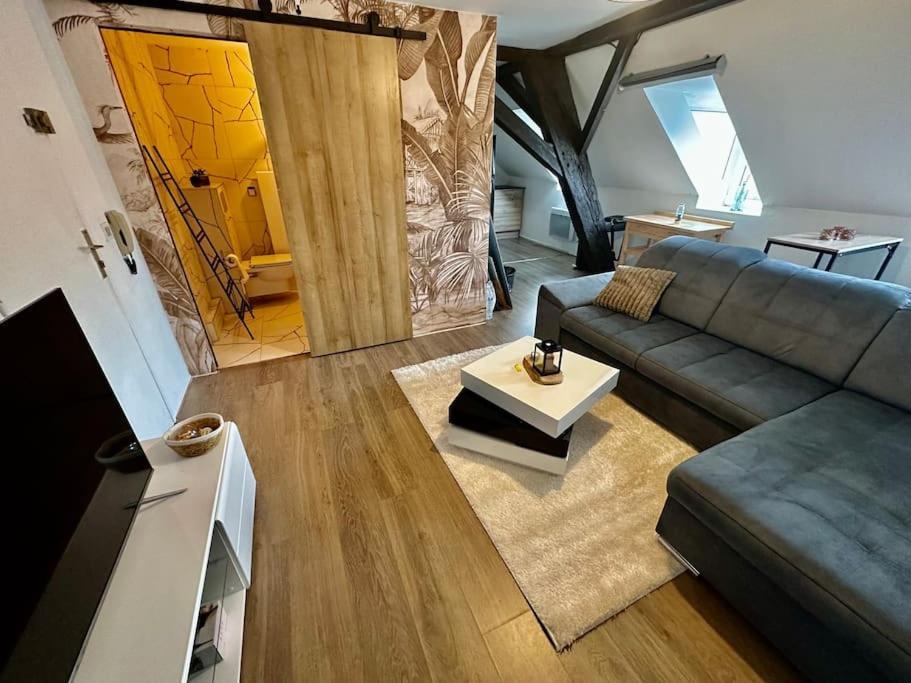 Logement Entier Au Coeur De Strasbourg Bagian luar foto